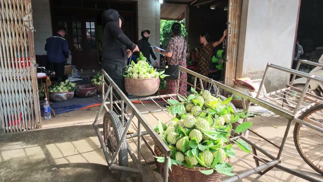 Woman Walking With Produce Cart