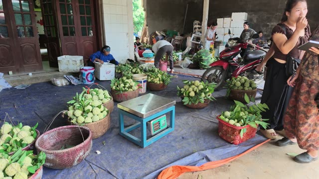 Cart And Baskets At Collection Point