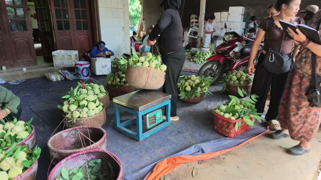 Workers Sorting Fruit At Collection Point