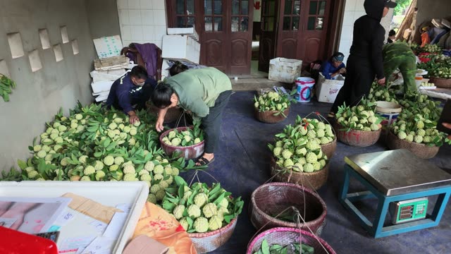 Workers Sorting Fruit Near Doorway