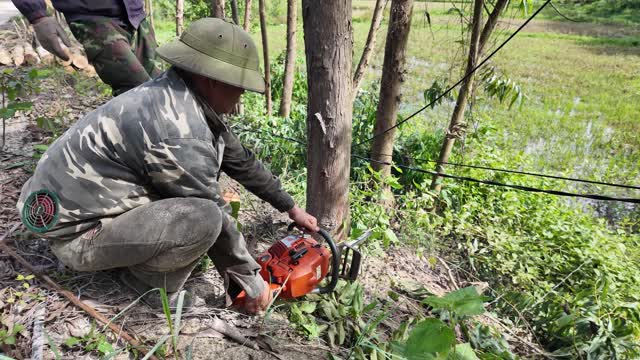 Farmer Cutting Tree With Chainsaw