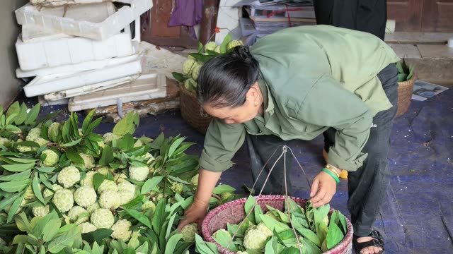 Man Arranging Basket With Foam Box