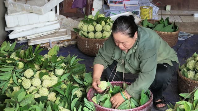 Woman Packing Basket Among Others