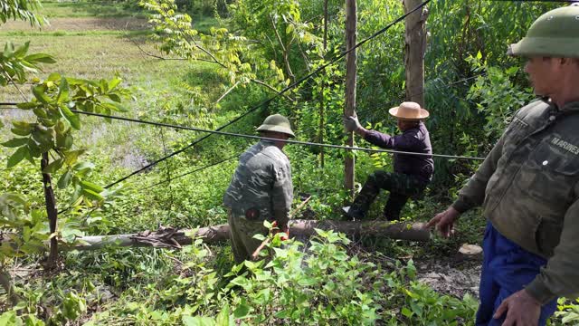 Villagers Clearing Fallen Trees