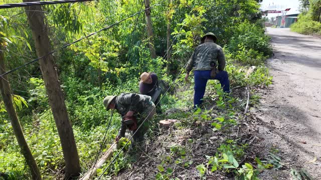 Workers Clearing Roadside Brush