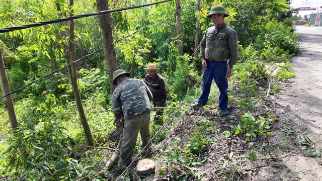 Men Cutting Brush By Roadside