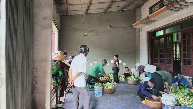 Warehouse Full Of Workers Sorting Fruit