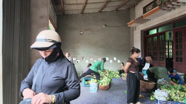 Woman Wearing Helmet In Warehouse