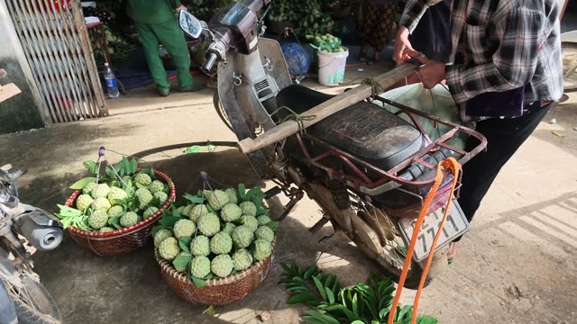 Tying Basket On Motorbike