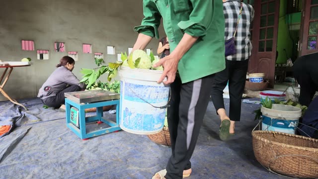 Man Carrying Foam Box Among Scraps