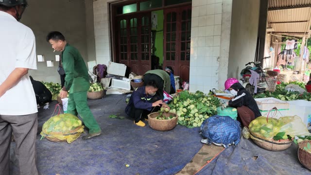 Men Sorting Pile Of Custard Apples