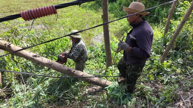 Two Men Sawing Fallen Trunk