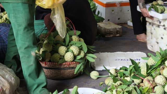 People Sorting Fruit By Red Door