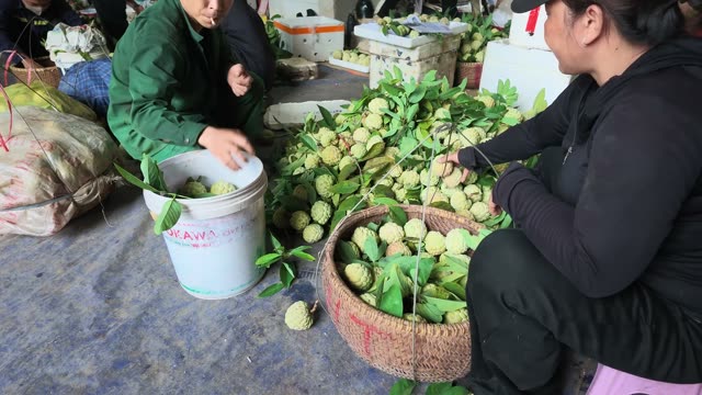 Hands Holding Wrapped Fruit Basket