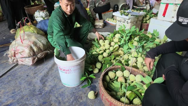 Man Sorting Fruit Beside Bucket