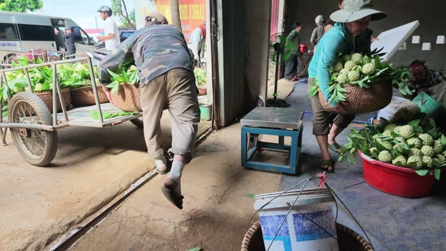 Man Loading Greens Onto Cart