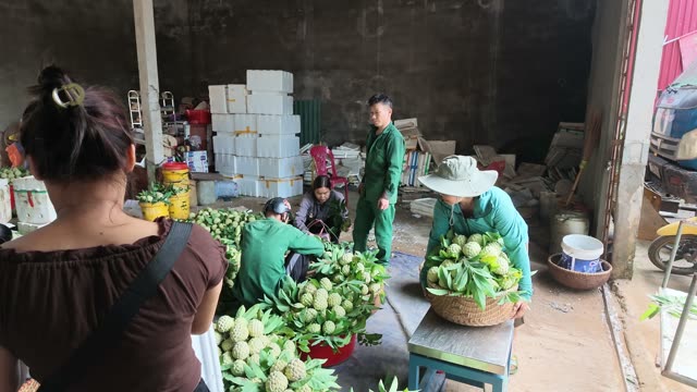 People Standing By Stacked Boxes