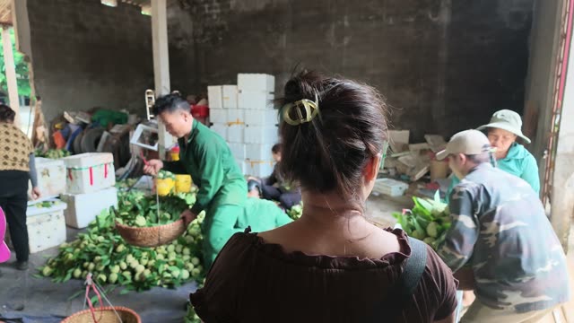 Man Sorting Basket By Boxes