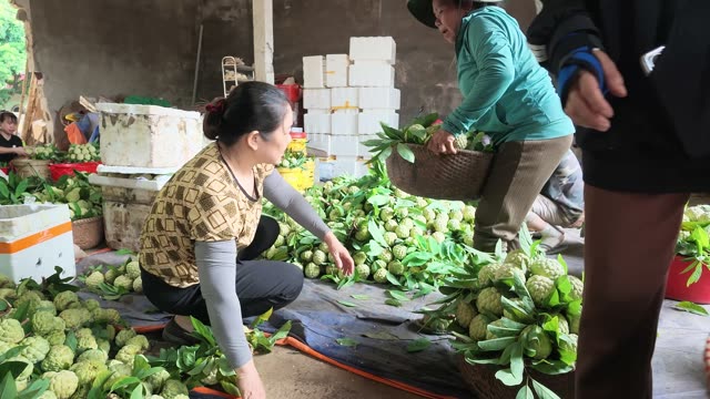 Woman Sorting Basket In Warehouse