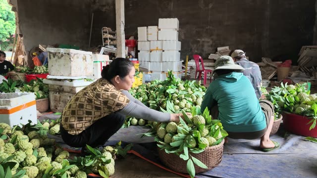 Workers Gathered Around Fruit Baskets