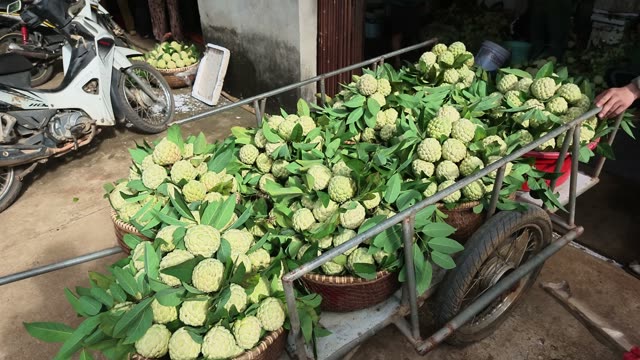 Cart Loaded With Custard Apple Baskets