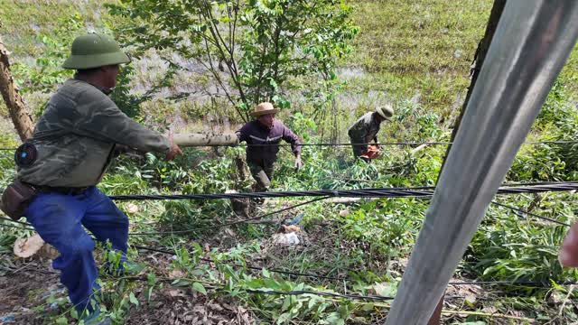 Farmer Pulling Rope By Field