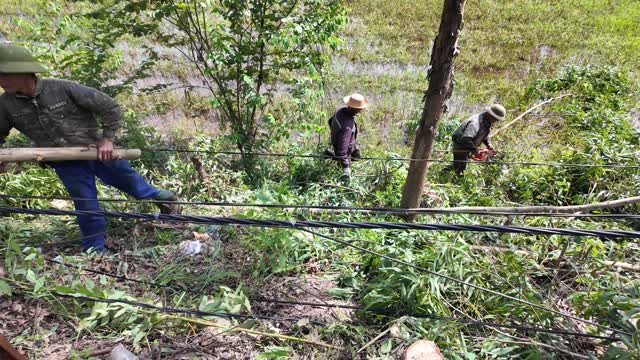 Men Clearing Brush Along Fence