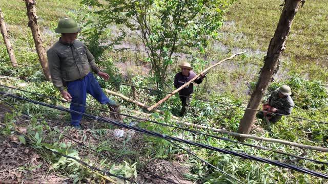 Moving Cut Poles By Field