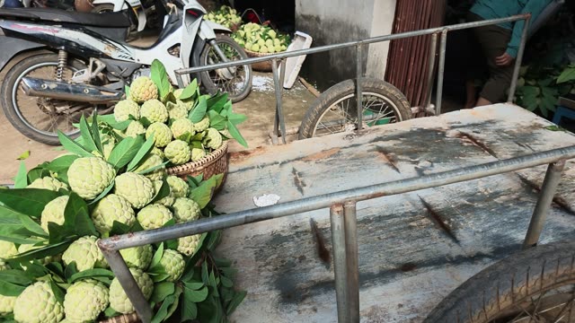 People Standing By Fruit Baskets