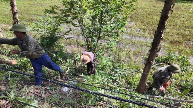 Three Men Clearing Field Edge
