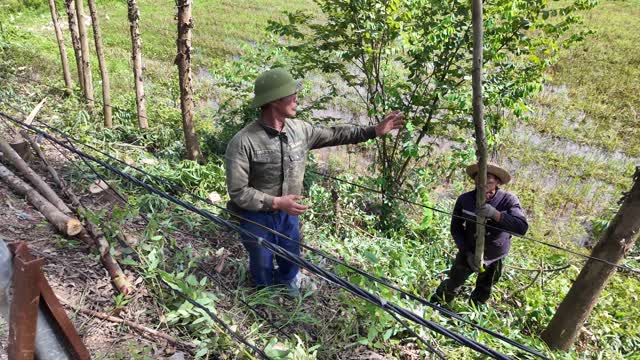 Farmer Inspecting Young Tree