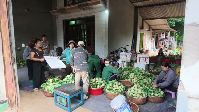 People Gathered By Collection Point