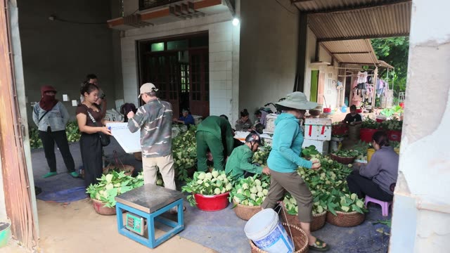 Workers Sorting Fruit At Scale