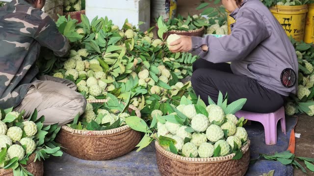 Man Handling Fruit Beside Buckets