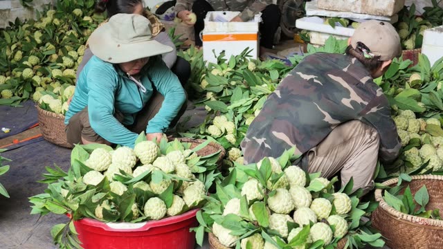 Man And Woman Packing Baskets