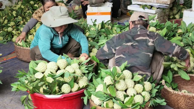 Workers Packing Fruit Together