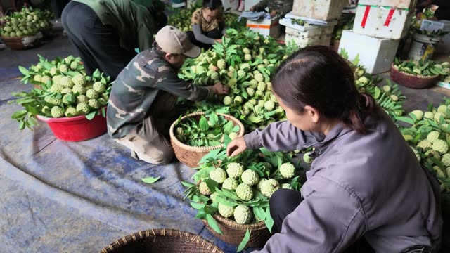 Workers Sorting Fruit In Room