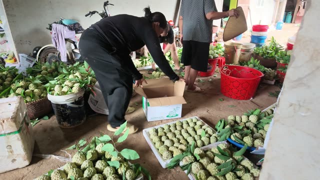 Man Packing Fruit Into Box