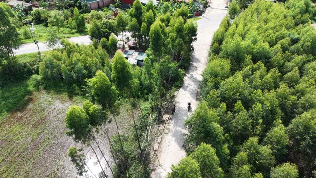 Motorbike On Village Forest Road