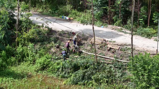 Loading Timber Beside Country Road