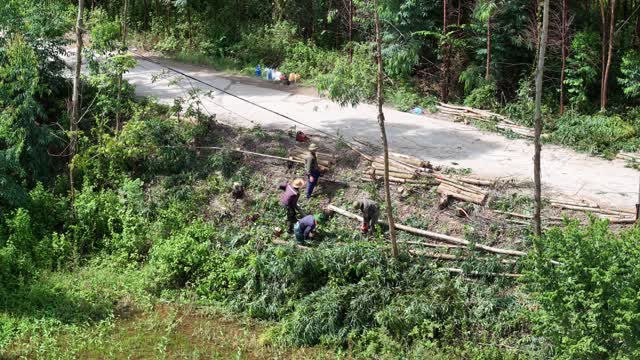 Harvesting Stacked Timber Logs