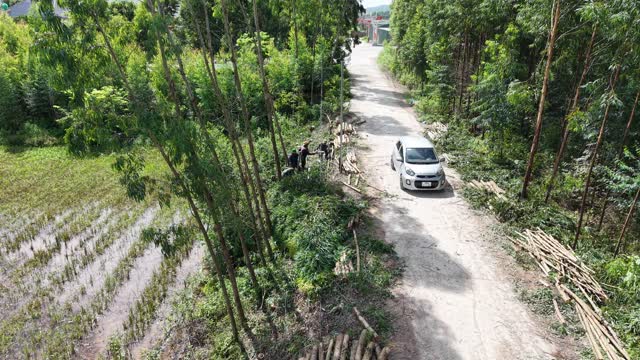 Aerial Village Timber Road