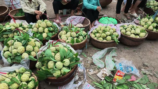 Tied Baskets Of Custard Apples
