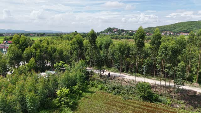 Rural Vietnam Countryside Panorama
