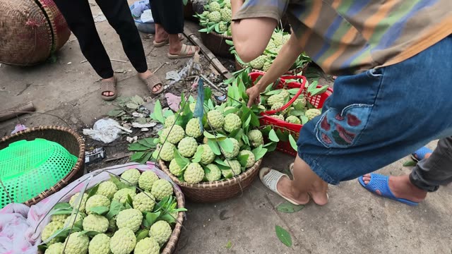 Hands Sorting Fruit Into Basket