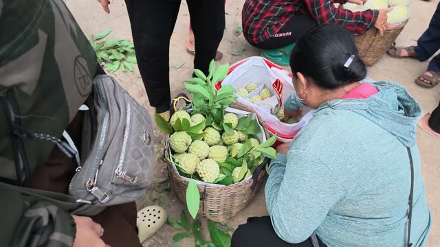 Woman Packing Fruit Into Bag