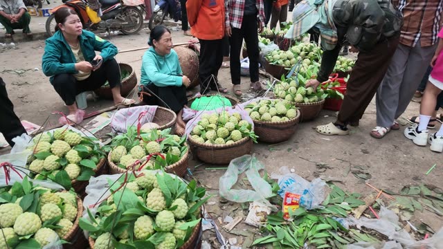 Women Selling Custard Apples On Ground