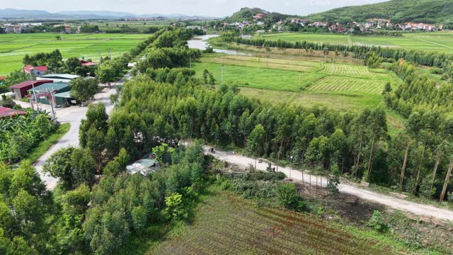 Rice Paddies And Village