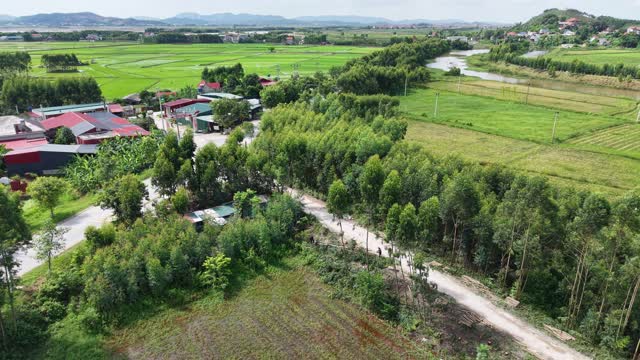 Countryside Rice Field Panorama