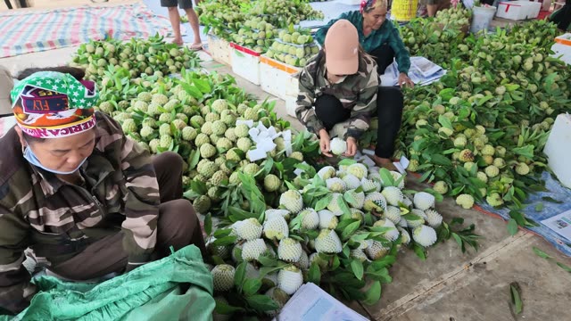 Women Packing Fruit At Trading Floor
